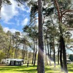 Vakantiepark Hertenhorst - Bild 1