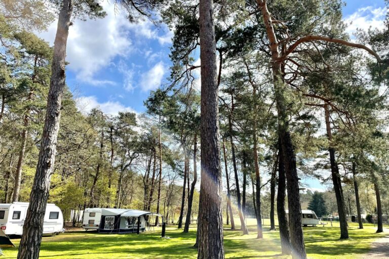 Vakantiepark Hertenhorst - Bild 1