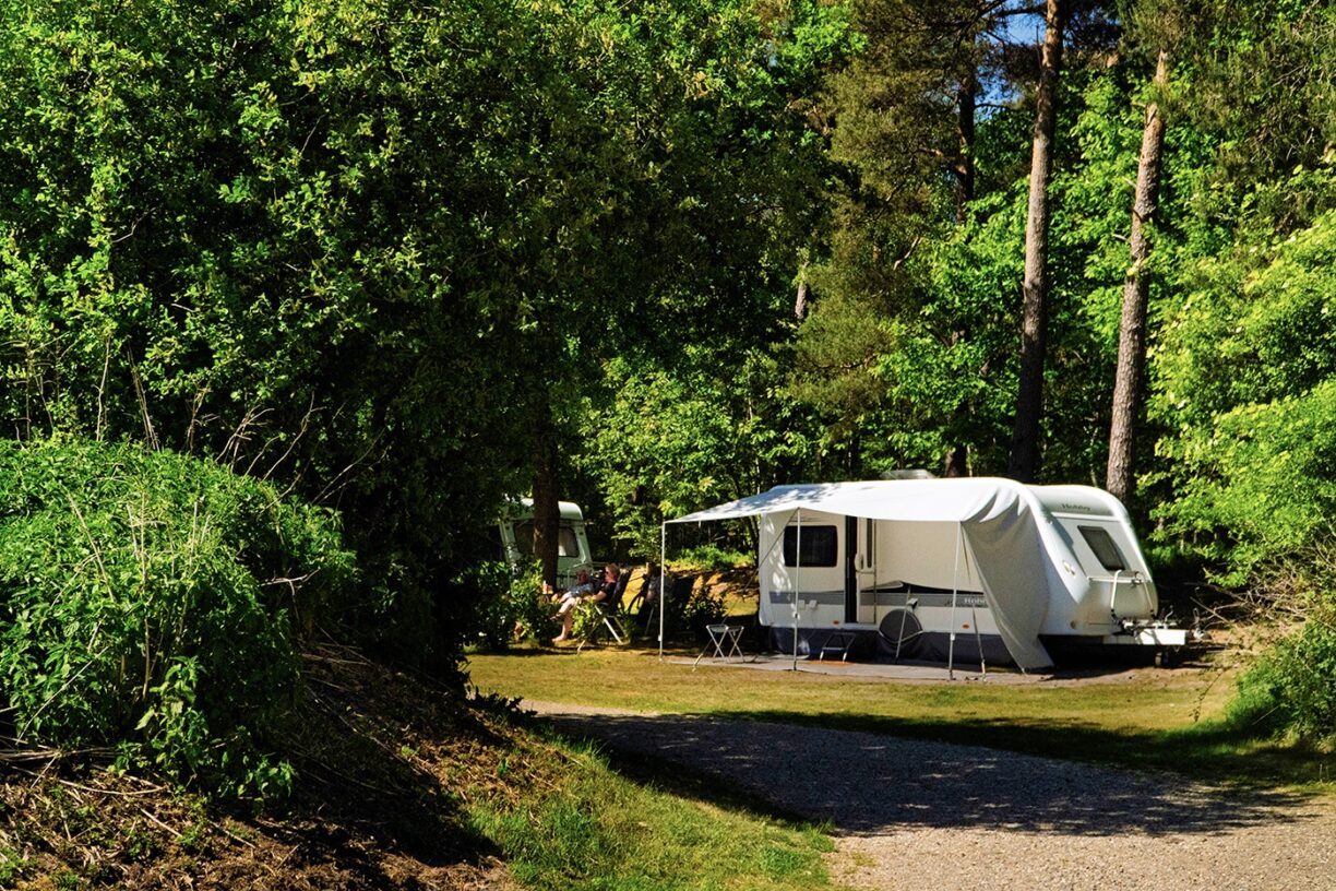 Vakantiepark Het Lierderholt - Bild 7 Vakantiepark Het Lierderholt - Bild 7