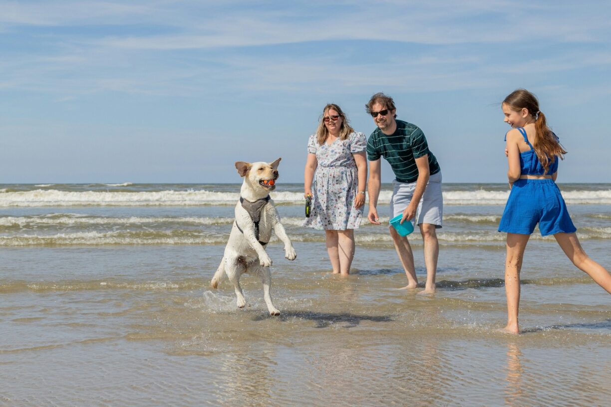 Vakantiepark Klein Vaarwater - Bild 20 Vakantiepark Klein Vaarwater - Bild 20