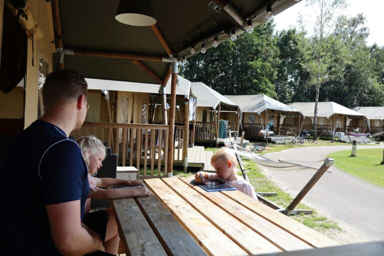 Vakantiepark Sallandshoeve - Bild 6