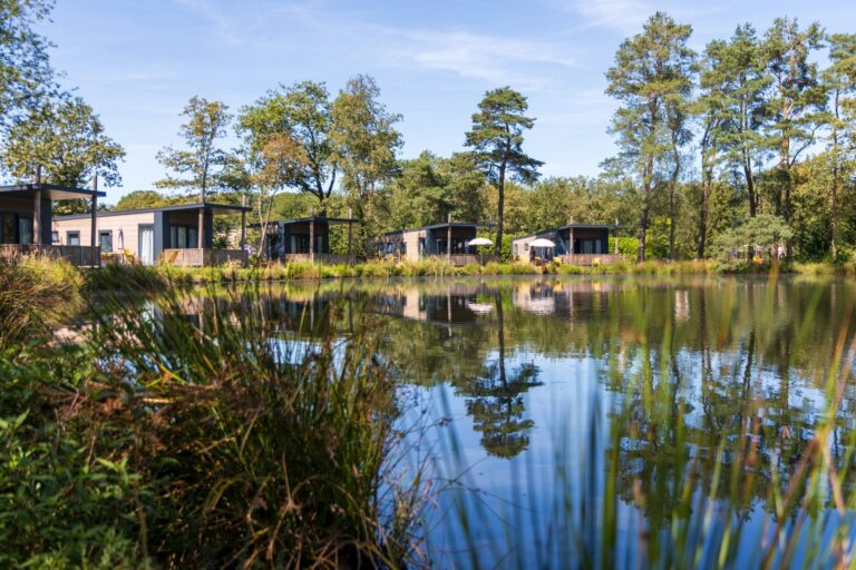 Vakantiepark Westerbergen - Bild 2