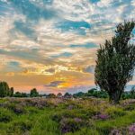 Vakantiepark Westerbergen - Bild 3