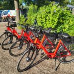 Vakantiepark 't Urkerbos - Bild 12