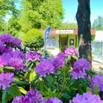 Vakantiepark 't Urkerbos - Bild 14