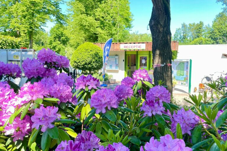 Vakantiepark 't Urkerbos - Bild 14