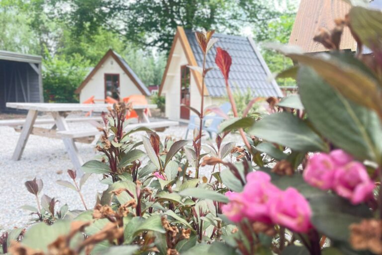 Vakantiepark 't Urkerbos - Bild 6