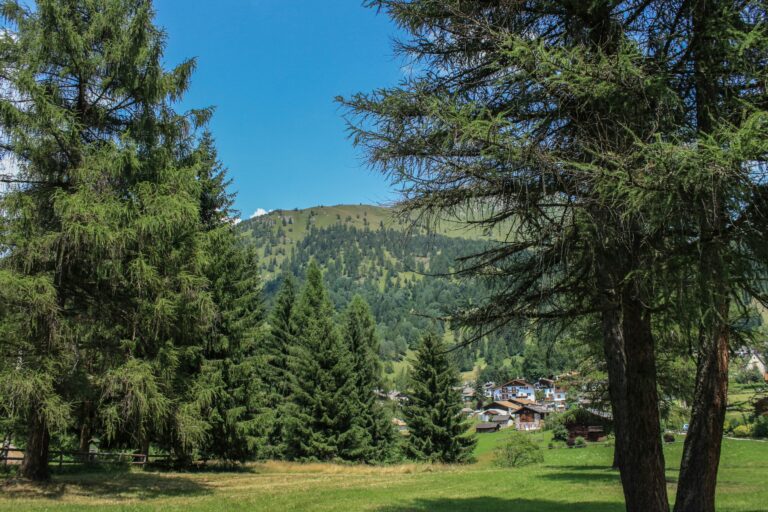 Val Di Fiemme Easy Camping Village - Bild 2