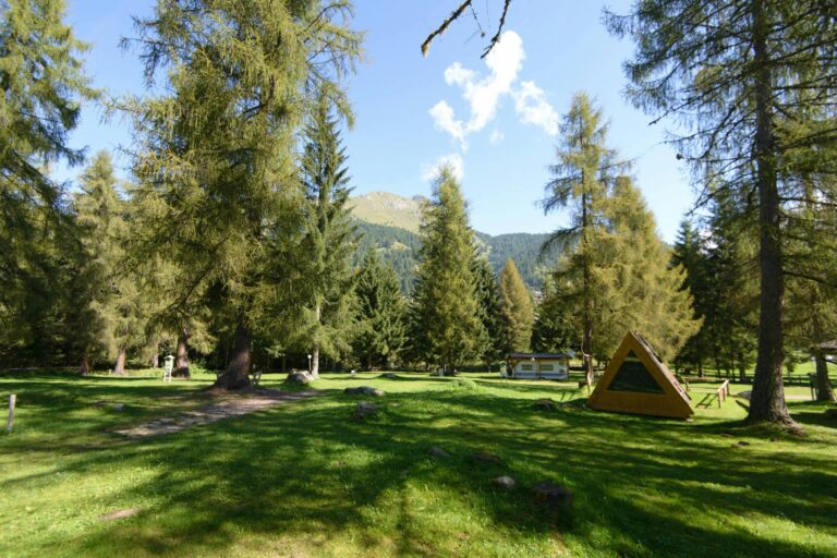 Val Di Fiemme Easy Camping Village - Bild 3