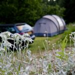 Val Di Fiemme Easy Camping Village - Bild 8