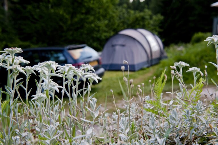 Val Di Fiemme Easy Camping Village - Bild 8