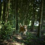 Vestbirk Camping - Bild 17