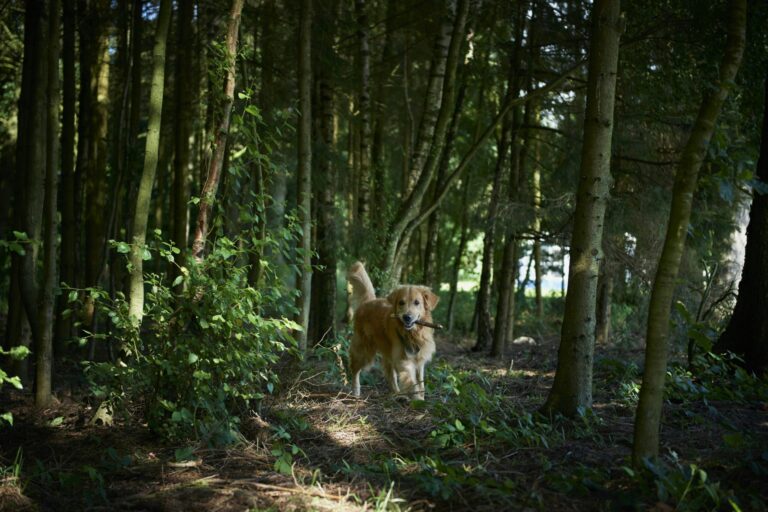 Vestbirk Camping - Bild 17