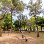 Viareggio Family Collection - Bild 4