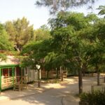 Vilanova Park - Bild 13