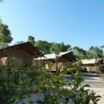 Vilanova Park - Bild 16