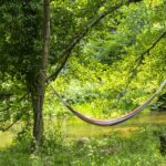 Village Nature Zen - Bild 12 Village Nature Zen - Bild 12