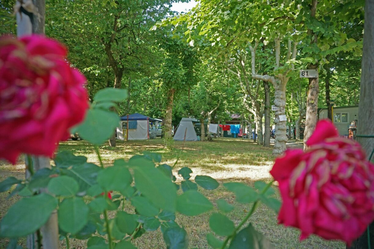 Villaggio Camping Delle Rose - Bild 4 Villaggio Camping Delle Rose - Bild 4