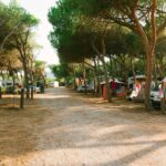 Villaggio Camping Torre Del Porticciolo - Bild 3
