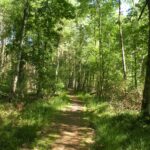 Vilshärads Camping - Bild 10 Vilshärads Camping - Bild 10