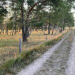 Vilshärads Camping - Bild 11 Vilshärads Camping - Bild 11