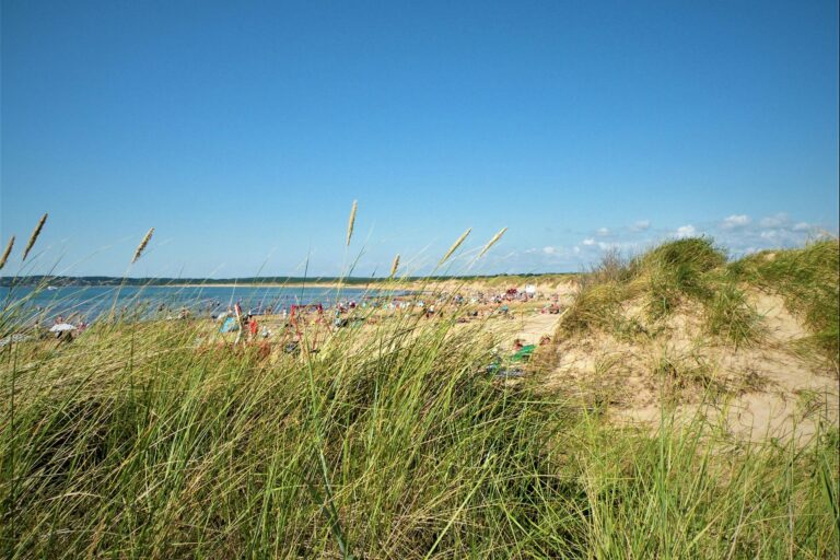 Vilshärads Camping - Bild 12 Vilshärads Camping - Bild 12