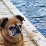 Vimmerby Camping Nossenbaden - Bild 18