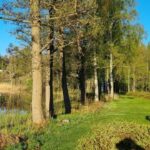 Vimmerby Camping Nossenbaden - Bild 3