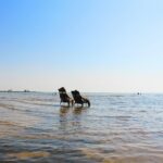 Vita Sandars Camping - Bild 15