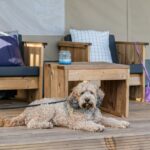 Vodatent @ Minicamping Marina Warns - Bild 5 Vodatent @ Minicamping Marina Warns - Bild 5