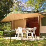 Vvf Brusque - Bild 14