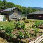 Vvf Brusque - Bild 5