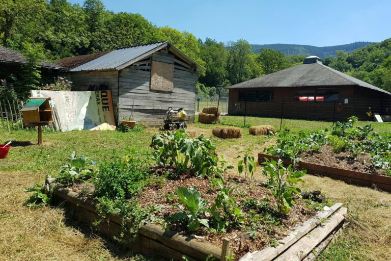 Vvf Brusque - Bild 5