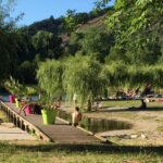 Vvf Brusque - Bild 6