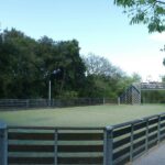 Vvf Méjannes-le-cap - Bild 5 Vvf Méjannes-le-cap - Bild 5