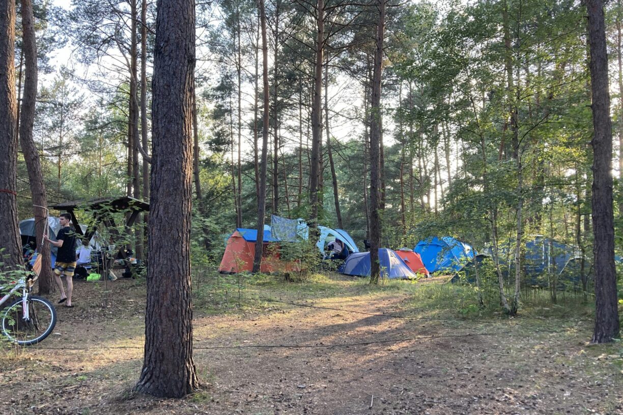 Wald- & Naturcampingplatz Am Tonsee Süd - Bild 2 Wald- & Naturcampingplatz Am Tonsee Süd - Bild 2