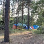 Wald- & Naturcampingplatz Am Tonsee Süd - Bild 2 Wald- & Naturcampingplatz Am Tonsee Süd - Bild 2