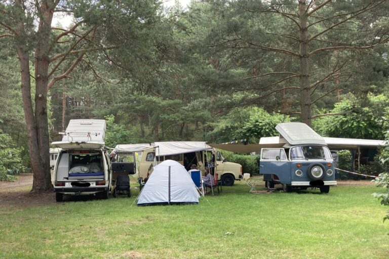 Wald- & Naturcampingplatz Am Tonsee Süd - Bild 3 Wald- & Naturcampingplatz Am Tonsee Süd - Bild 3