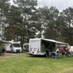 Wald- & Naturcampingplatz Am Tonsee Süd - Bild 4 Wald- & Naturcampingplatz Am Tonsee Süd - Bild 4