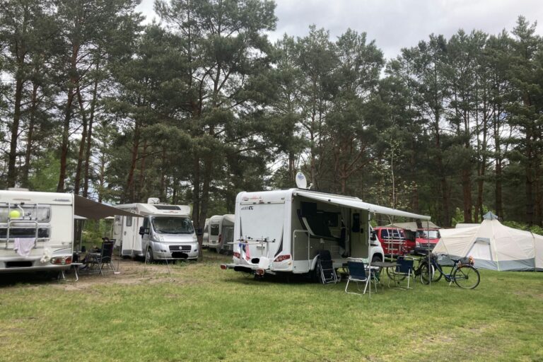 Wald- & Naturcampingplatz Am Tonsee Süd - Bild 4 Wald- & Naturcampingplatz Am Tonsee Süd - Bild 4