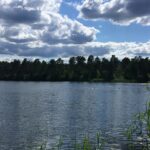 Wald- & Naturcampingplatz Am Tonsee Süd - Bild 6 Wald- & Naturcampingplatz Am Tonsee Süd - Bild 6