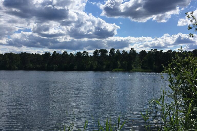 Wald- & Naturcampingplatz Am Tonsee Süd - Bild 6 Wald- & Naturcampingplatz Am Tonsee Süd - Bild 6