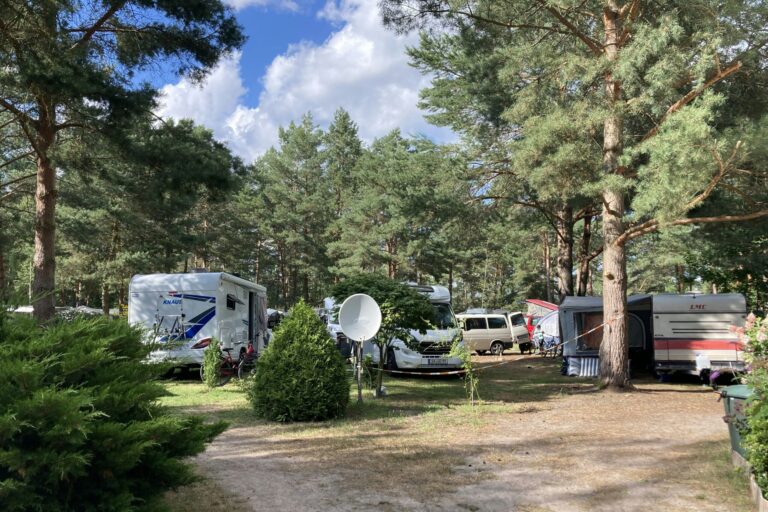 Wald- & Naturcampingplatz Am Tonsee Süd - Bild 1
