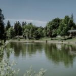 Waldbad Isny - Bild 3