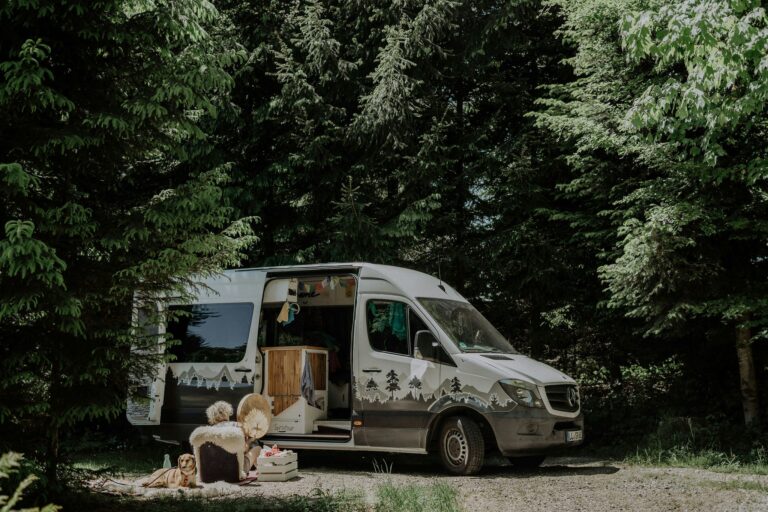 Waldbad Isny - Bild 4