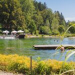 Waldcamping Birkendorf - Bild 1