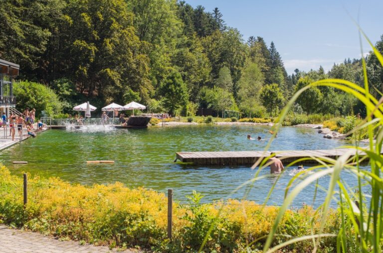 Waldcamping Birkendorf - Bild 1 Waldcamping Birkendorf - Bild 1