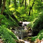 Waldcamping Mörtelstein - Bild 4