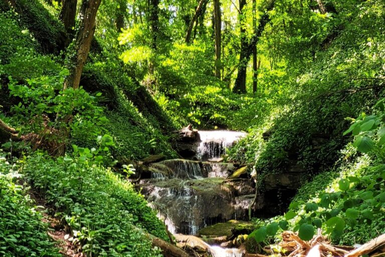 Waldcamping Mörtelstein - Bild 4