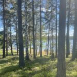 Waxholms Camping - Bild 2 Waxholms Camping - Bild 2